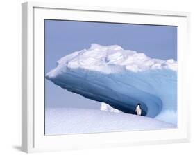 Antarctica, adelie penguin in front of iceberg-Frans Lemmens-Framed Photographic Print