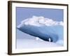 Antarctica, adelie penguin in front of iceberg-Frans Lemmens-Framed Photographic Print