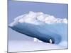 Antarctica, adelie penguin in front of iceberg-Frans Lemmens-Mounted Photographic Print