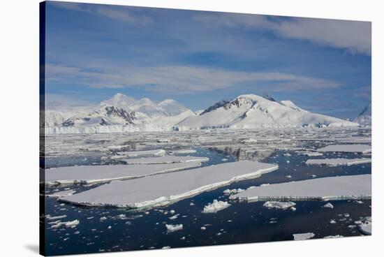 Antarctica. Antarctic Circle. Adelaide Island. the Gullet. Ice Floes-Inger Hogstrom-Stretched Canvas