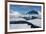 Antarctica. Antarctic Circle. Adelaide Island. the Gullet. Ice Floes-Inger Hogstrom-Framed Photographic Print