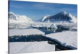 Antarctica. Antarctic Circle. Adelaide Island. the Gullet. Ice Floes-Inger Hogstrom-Stretched Canvas