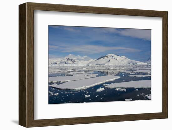 Antarctica. Antarctic Circle. Adelaide Island. the Gullet. Ice Floes-Inger Hogstrom-Framed Photographic Print