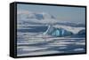 Antarctica. Antarctic Circle. the Gullet. Iceberg and Ice Floes-Inger Hogstrom-Framed Stretched Canvas