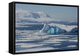 Antarctica. Antarctic Circle. the Gullet. Iceberg and Ice Floes-Inger Hogstrom-Framed Stretched Canvas