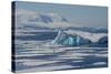 Antarctica. Antarctic Circle. the Gullet. Iceberg and Ice Floes-Inger Hogstrom-Stretched Canvas