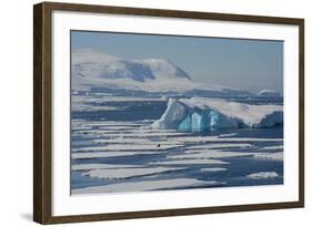 Antarctica. Antarctic Circle. the Gullet. Iceberg and Ice Floes-Inger Hogstrom-Framed Photographic Print