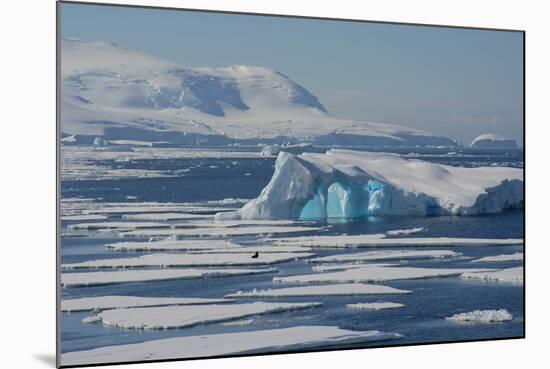 Antarctica. Antarctic Circle. the Gullet. Iceberg and Ice Floes-Inger Hogstrom-Mounted Photographic Print