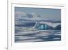 Antarctica. Antarctic Circle. the Gullet. Iceberg and Ice Floes-Inger Hogstrom-Framed Photographic Print