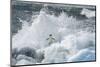 Antarctica, Antarctic Peninsula, Brown Bluff Adelie penguin, crashing wave.-Yuri Choufour-Mounted Photographic Print