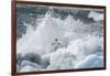 Antarctica, Antarctic Peninsula, Brown Bluff Adelie penguin, crashing wave.-Yuri Choufour-Framed Photographic Print