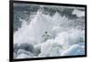 Antarctica, Antarctic Peninsula, Brown Bluff Adelie penguin, crashing wave.-Yuri Choufour-Framed Photographic Print