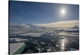 Antarctica. Antarctic Peninsula. the Gullet. Ice Floes and Brash Ice-Inger Hogstrom-Stretched Canvas