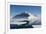 Antarctica. Antarctic Peninsula. the Gullet. Ice Floes and Brash Ice-Inger Hogstrom-Framed Photographic Print