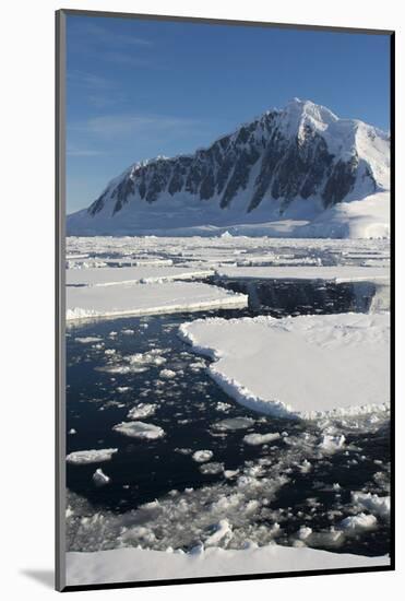 Antarctica. Antarctic Peninsula. the Gullet. Ice Floes and Brash Ice-Inger Hogstrom-Mounted Photographic Print