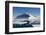 Antarctica. Antarctic Peninsula. the Gullet. Ice Floes and Brash Ice-Inger Hogstrom-Framed Photographic Print