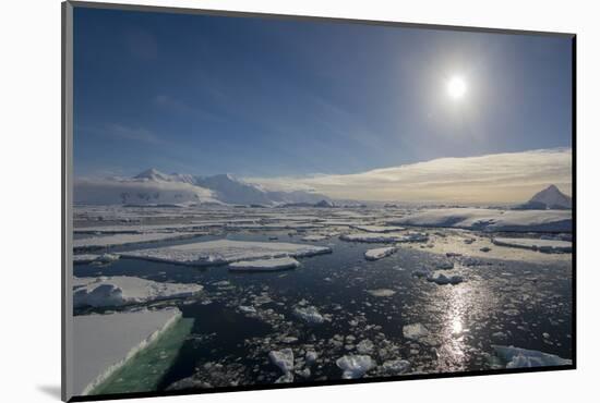 Antarctica. Antarctic Peninsula. the Gullet. Ice Floes and Brash Ice-Inger Hogstrom-Mounted Photographic Print