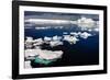 Antarctica, Antarctic Sound, calm waters, ice-George Theodore-Framed Photographic Print