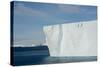 Antarctica. Antarctic Sound. Giant Tabular Iceberg-Inger Hogstrom-Stretched Canvas