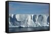 Antarctica. Antarctic Sound. Giant Tabular Iceberg-Inger Hogstrom-Framed Stretched Canvas
