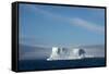 Antarctica. Antarctic Sound. Tabular Iceberg-Inger Hogstrom-Framed Stretched Canvas