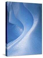 Antarctica, Blue ice, fine art, close-up-George Theodore-Stretched Canvas
