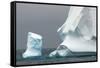 Antarctica. Bransfield Strait. Iceberg under Stormy Skies-Inger Hogstrom-Framed Stretched Canvas