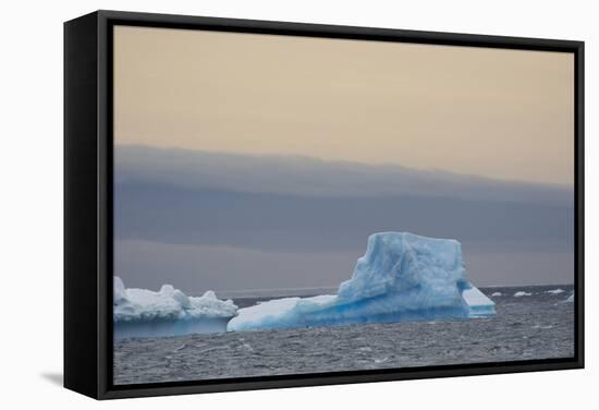 Antarctica. Brown Bluff. Bright Blue Iceberg-Inger Hogstrom-Framed Stretched Canvas