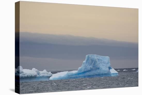 Antarctica. Brown Bluff. Bright Blue Iceberg-Inger Hogstrom-Stretched Canvas