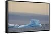 Antarctica. Brown Bluff. Bright Blue Iceberg-Inger Hogstrom-Framed Stretched Canvas