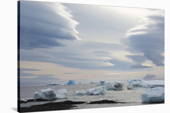 Antarctica. Brown Bluff. Lenticular Clouds Show Katabatic Winds-Inger Hogstrom-Stretched Canvas