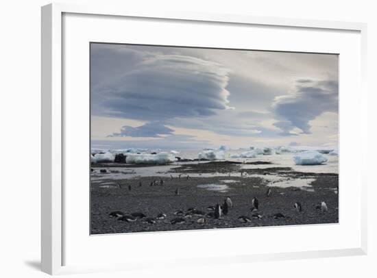 Antarctica. Brown Bluff. Lenticular Clouds Show Katabatic Winds-Inger Hogstrom-Framed Photographic Print