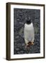 Antarctica. Brown Bluff-Inger Hogstrom-Framed Photographic Print