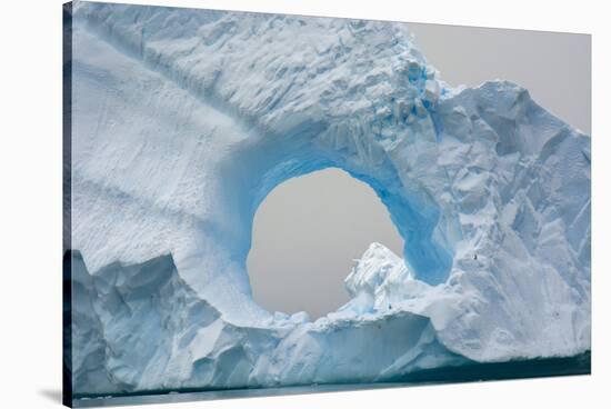 Antarctica. Charlotte Bay. Giant Iceberg with a Hole-Inger Hogstrom-Stretched Canvas