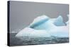 Antarctica. Charlotte Bay. Iceberg-Inger Hogstrom-Stretched Canvas