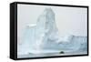 Antarctica. Charlotte Bay. Zodiac Dwarfed by a Giant Towering Iceberg-Inger Hogstrom-Framed Stretched Canvas