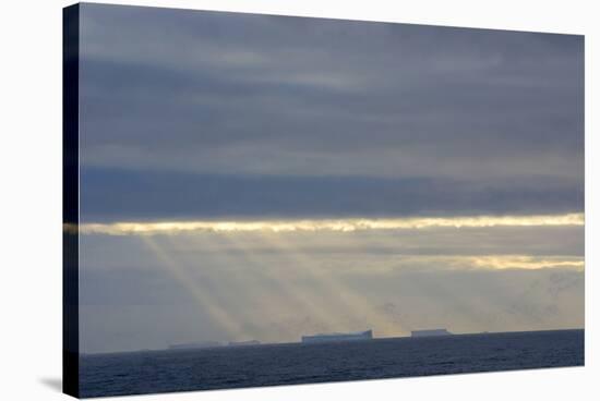 Antarctica. Crepuscular Rays Shining Down onto Tabular Icebergs-Inger Hogstrom-Stretched Canvas