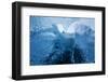 Antarctica, Cuverville Island, Close-up of scalloped surface of melting iceberg.-Paul Souders-Framed Photographic Print