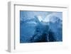 Antarctica, Cuverville Island, Close-up of scalloped surface of melting iceberg.-Paul Souders-Framed Photographic Print