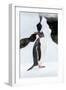 Antarctica, Cuverville Island, Gentoo Penguin standing on icebergs.-Paul Souders-Framed Photographic Print