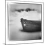 Antarctica, Deception Island, Abandoned wooden skiff at Whalers Cove.-Paul Souders-Mounted Photographic Print