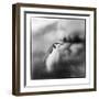 Antarctica, Deception Island, Chinstrap Penguin standing on a slope.-Paul Souders-Framed Photographic Print