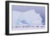 Antarctica, Emperor Penguin (Aptenodytes Forsteri) Colony-Joseph Van Os-Framed Photographic Print