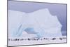 Antarctica, Emperor Penguin (Aptenodytes Forsteri) Colony-Joseph Van Os-Mounted Photographic Print