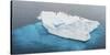 Antarctica, Gentoo, penguins, iceberg-George Theodore-Stretched Canvas