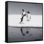 Antarctica. Gentoo Penguins Standing on Sea Ice with Reflection-Janet Muir-Framed Stretched Canvas