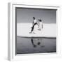 Antarctica. Gentoo Penguins Standing on Sea Ice with Reflection-Janet Muir-Framed Photographic Print