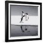 Antarctica. Gentoo Penguins Standing on Sea Ice with Reflection-Janet Muir-Framed Photographic Print