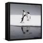 Antarctica. Gentoo Penguins Standing on Sea Ice with Reflection-Janet Muir-Framed Stretched Canvas