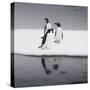 Antarctica. Gentoo Penguins Standing on Sea Ice with Reflection-Janet Muir-Stretched Canvas